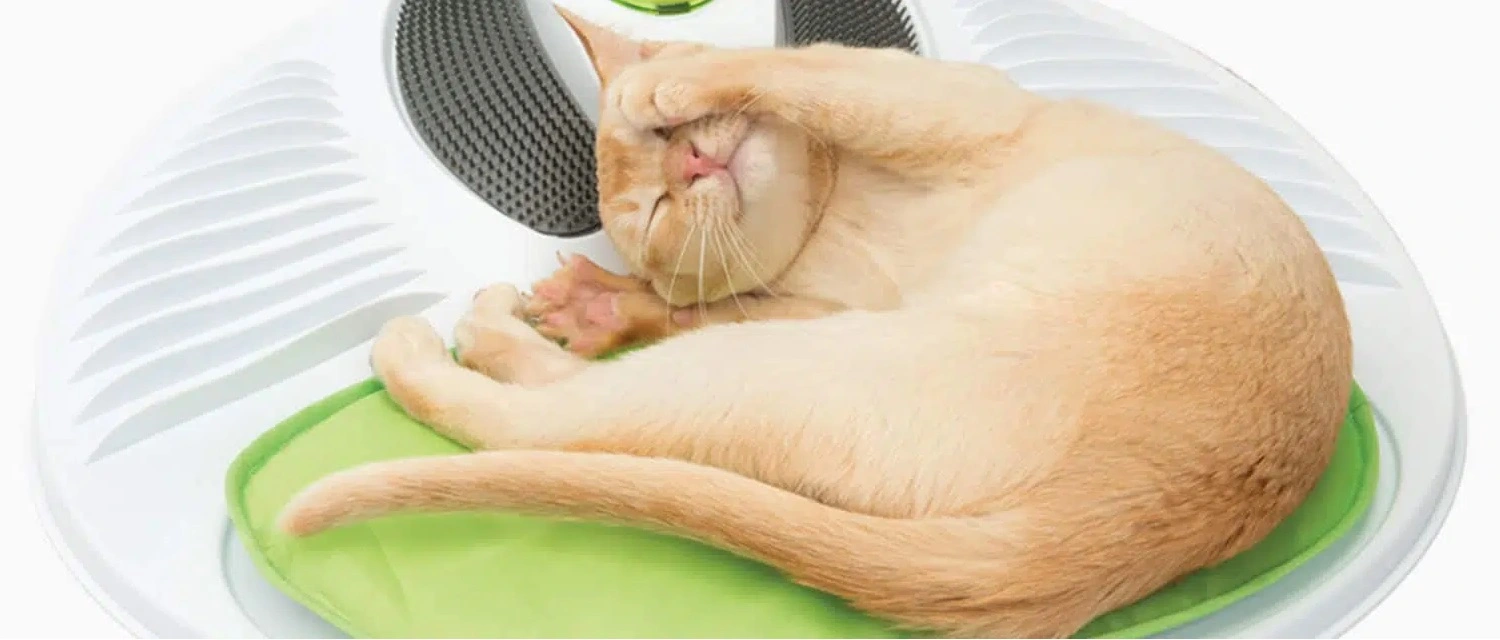 Catit Senses Wellness Center